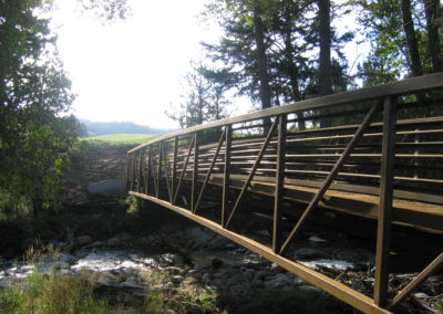 Steel Pedestrian Bridge