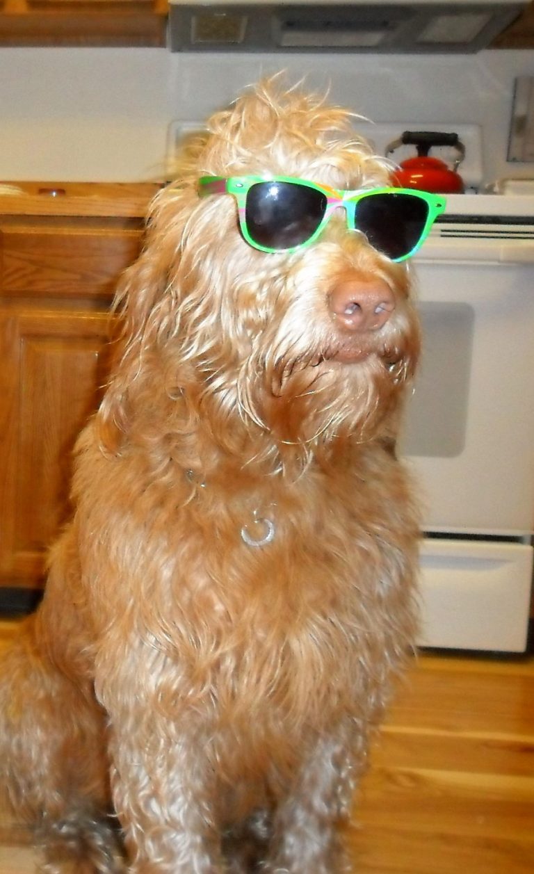 lifestyle pic