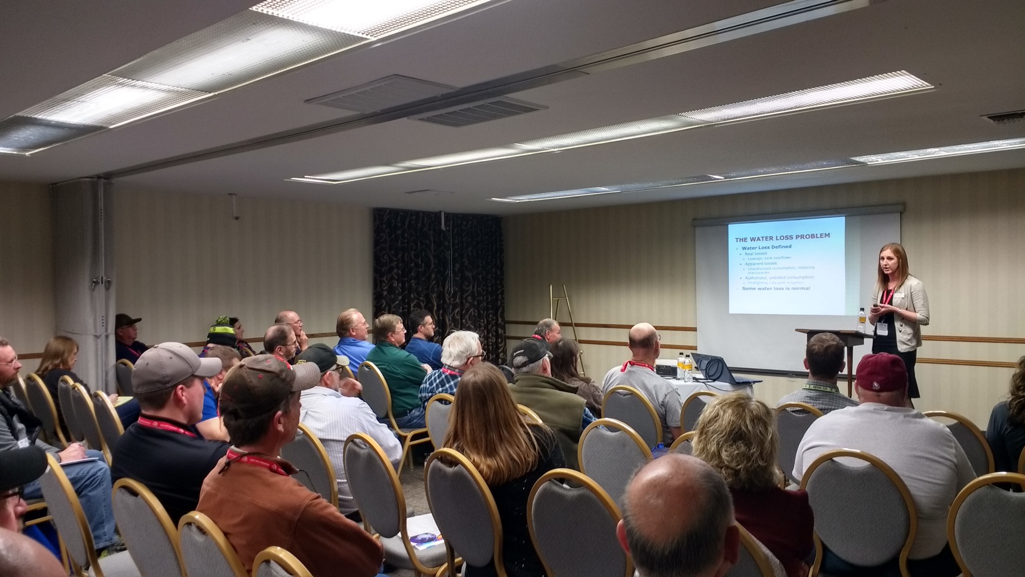 Local government grant writing services