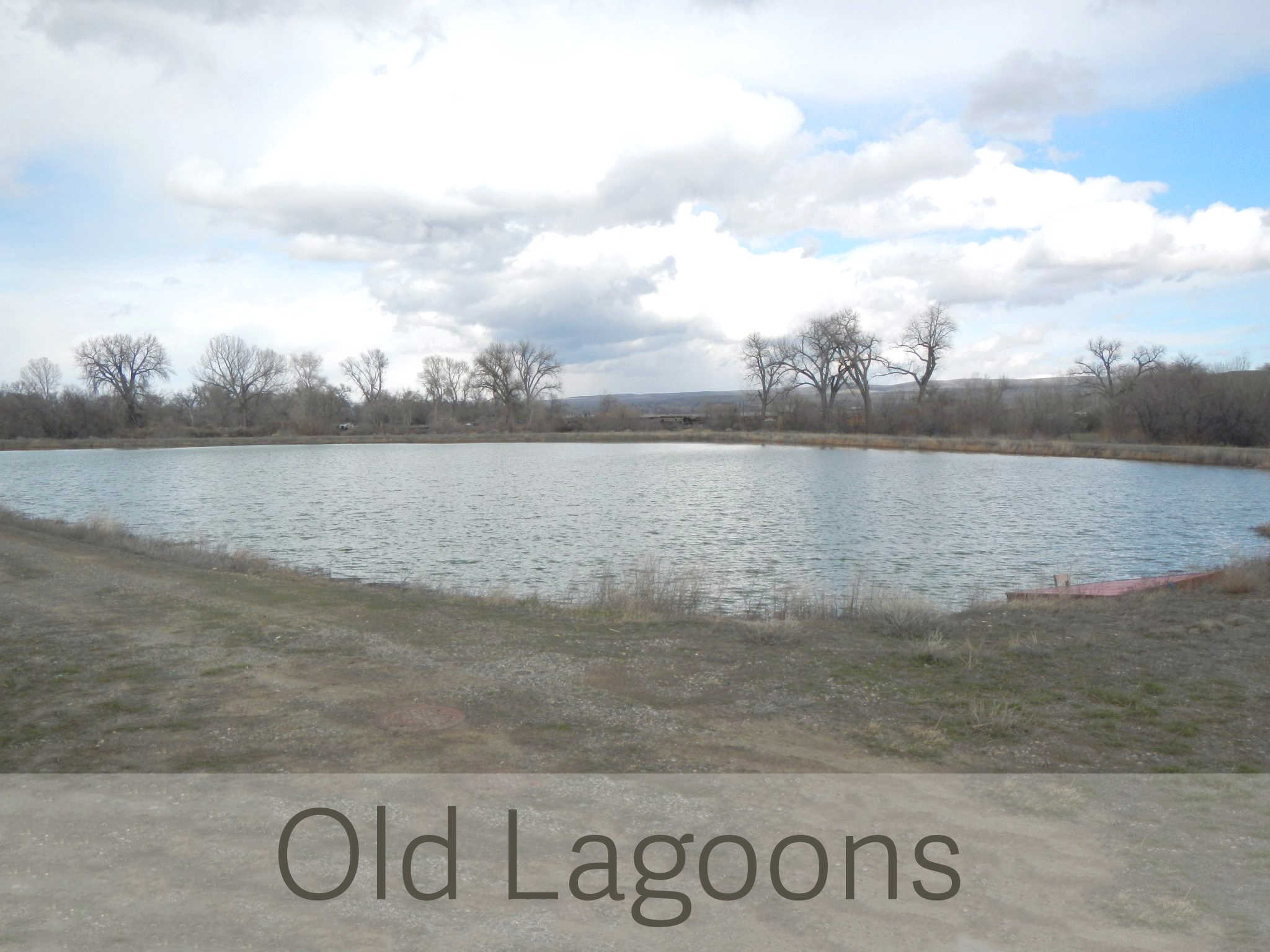 lagoon2