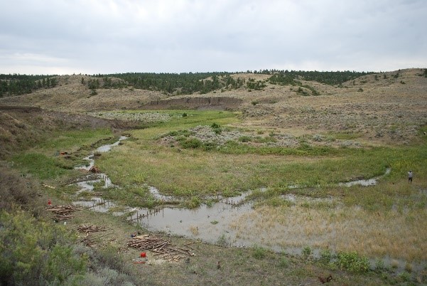 Low Tech Stream Restoration